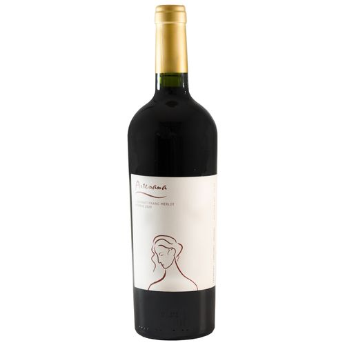 Vino Tinto Cabernet Franc Merlot Reserva ARTESANA 750 ml