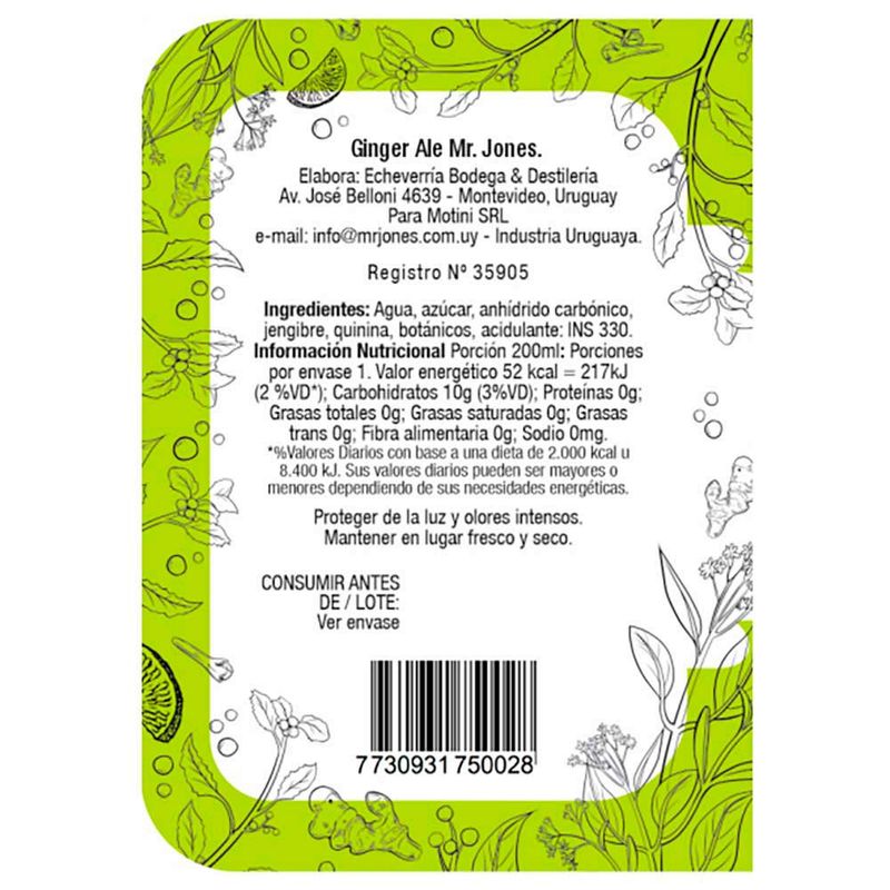 Agua-MR-JONES-Ginger-Ale-200-ml