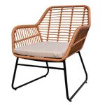 Set-4-piezas-en-Acero-Ratan-con-almohadones