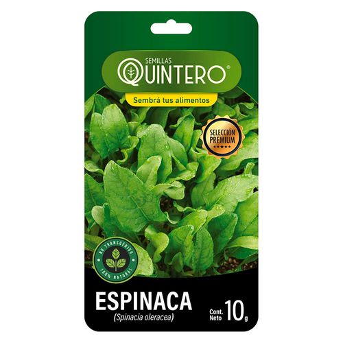 Sobre de semilla de espinaca QUINTERO 10 g