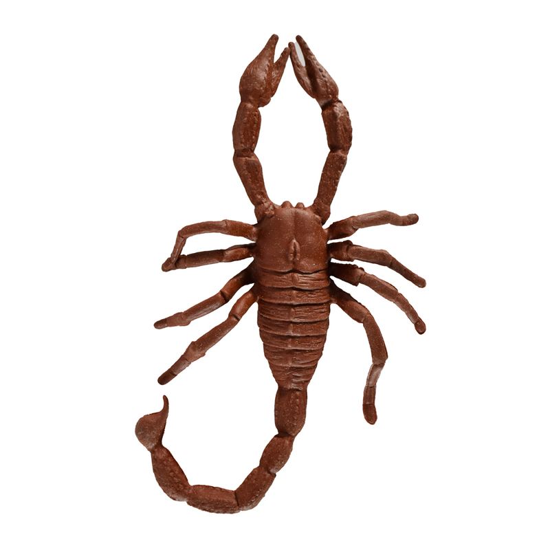 Insecto
