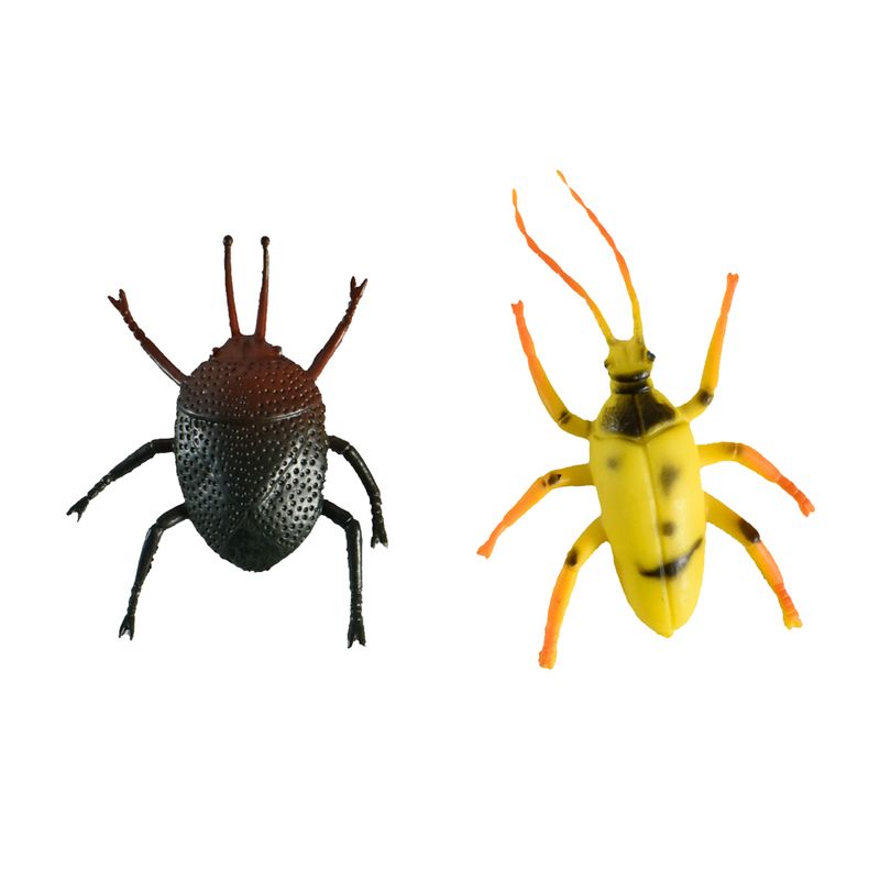 Insecto
