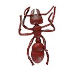 Insecto