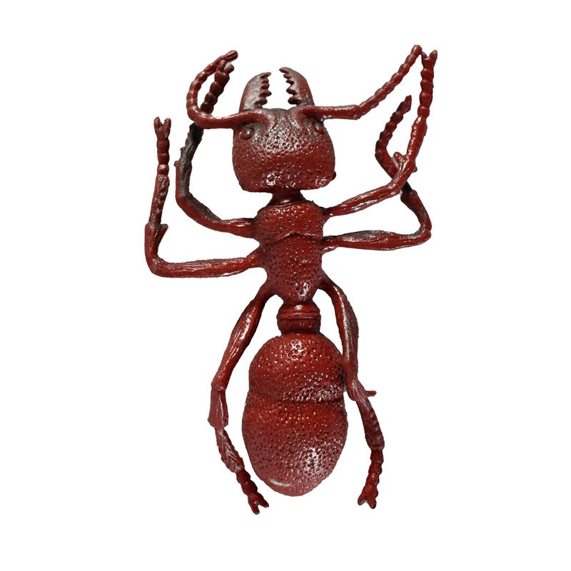 Insecto