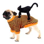 Disfraz-para-Perro-Gato-en-la-espalda-talles-LXL2XL