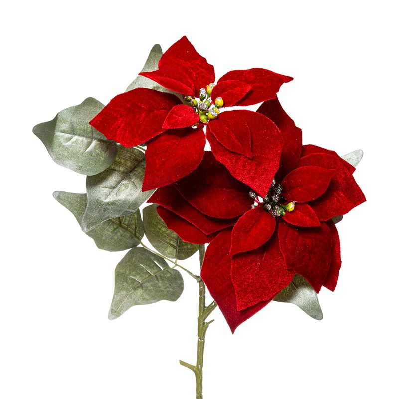 -Rama-Poinsettia-roja-75-cm
