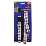 Collar-y-correa-para-perro-2-piezas