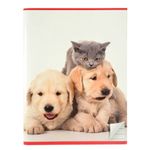Cuaderno-Grapado-rayado-96-hojas