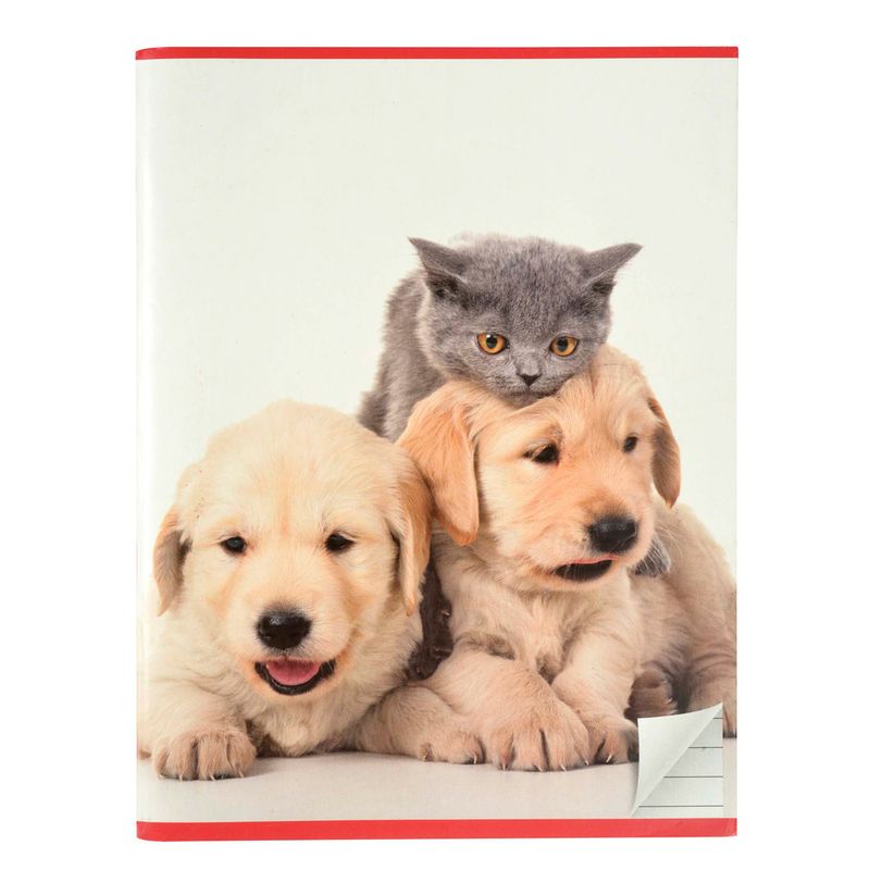 Cuaderno-Grapado-rayado-96-hojas