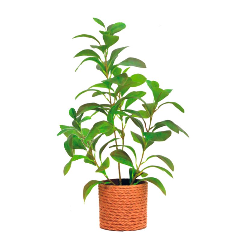 Planta-Artificial-Peperomia-37-cm-con-maceta