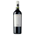 VINO-TINTO-PETIT-VERDOT-RUCA-MALEN-CAPITULO-DOS