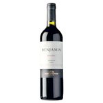 Malbec-BENJAMIN-NIETO-Tinto-750-cc