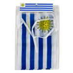 Guirnaldas-Bandera-Tela-Nro.1