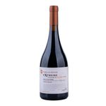 Tinto-Blend-Extreme-Vineyard-Cerro-de-Guazuvira-Familia-Deicas-750-cc