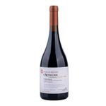 Vino-Tinto-Tannat-DEICAS-Subsuelo-750-ml