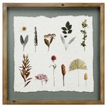 Lamina-con-marco-40x405-cm