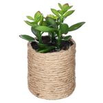 Planta-artificial-en-maceta-h16-cm