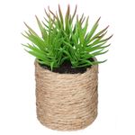 Planta-artificial-en-maceta-h16-cm