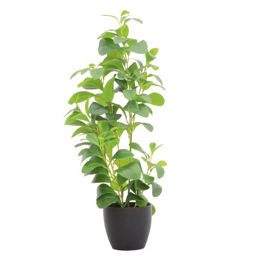 Planta Artificial 71 cm 7194