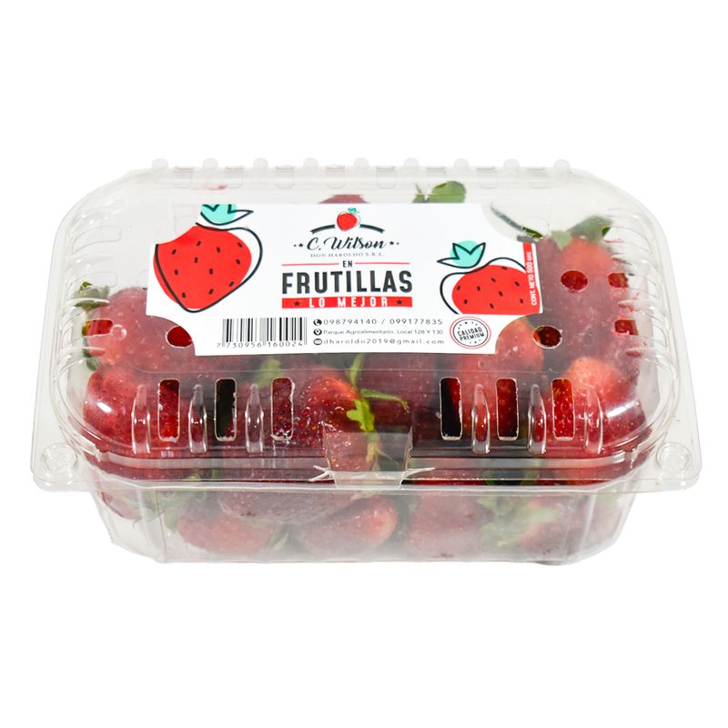 Frutilla-petaca-unidad