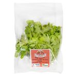 Lechuga-roble-organica-blanca-DON-QUICO