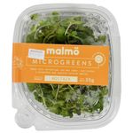 Microgreens-Brocoli---Mostaza---Rabanito-35-g