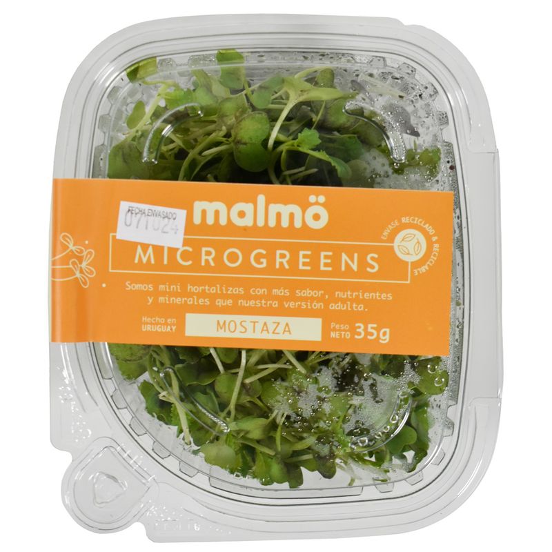 Microgreens-Brocoli---Mostaza---Rabanito-35-g