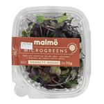 Microgreens-Brocoli---Mostaza---Rabanito-35-g