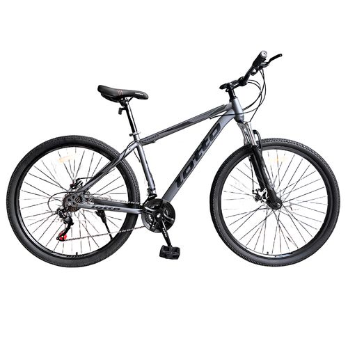 Bicicleta LOTTO rod.29 2024 gris/negro acero