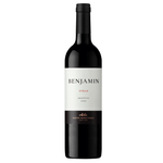 Vino-Tinto-Syrah-NIETO-SENETINER-750-ml