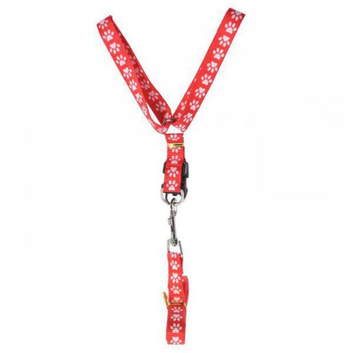 Correa para Perro 120 cm