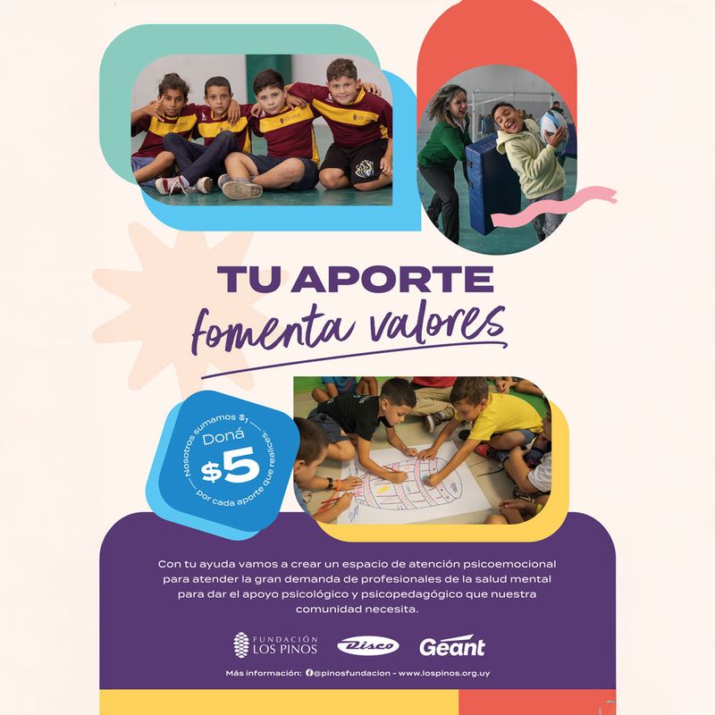 Campaña-Solidaria-Los-Pinos