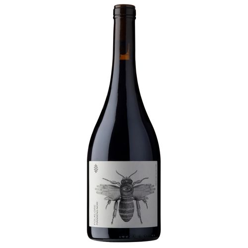 Vino Tinto CASTEL PUJOL Folklore Manseng Noir 750 ml