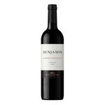 Cabernet-Sauvignon-BENJAMIN-NIETO-Tinto-750-cc