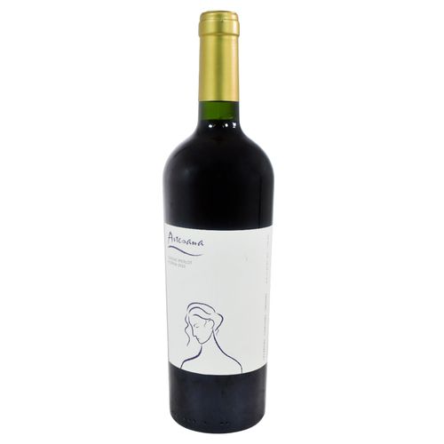 Vino tinto tannat merlot reserva ARTESANA 750 ml