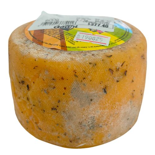 Queso Arte Holandito Orégano DON PABLO x kg
