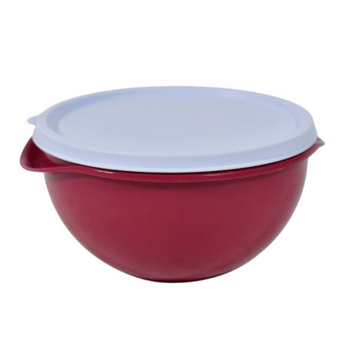 Contenedor redondo Biovita 250 ml traslúcido 24 un.