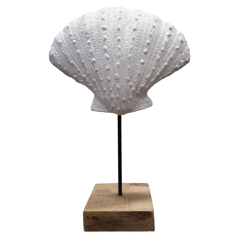 Ostra-marina-Blanca-con-soporte-22.5-x-10-x-34-cm-fo-2338