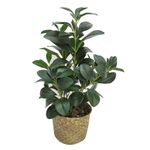 Planta-artificial-con-maceta-165x51-cm