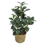 Planta-artificial-con-maceta-165x51-cm