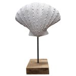 Ostra-marina-Blanca-con-soporte-225x10x34-cm-fo-2338