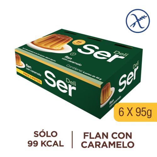 Pack flan SER pack 570 g