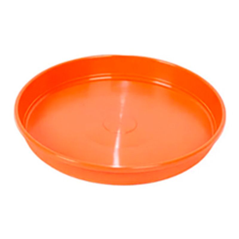 Plato-12---Simil-barro