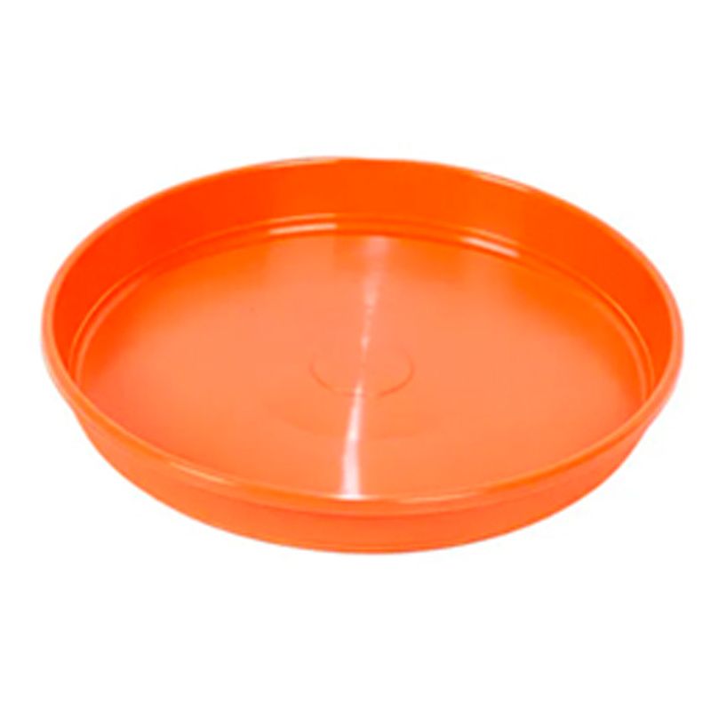 Plato-14---Simil-Barro