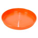 Plato-16---Simil-Barro