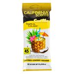 Perfumador-CALIFORNIA-Sb-Aromat-Auto-Tropical-8-x-6
