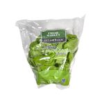 Lechuga-Mantecosa-Hidroponica-FRESH-MARKET