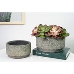 Maceta-de-cemento-17x9-cm