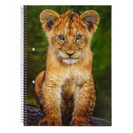 Cuadernola-GRAFFITTI-96h-tapa-flexible